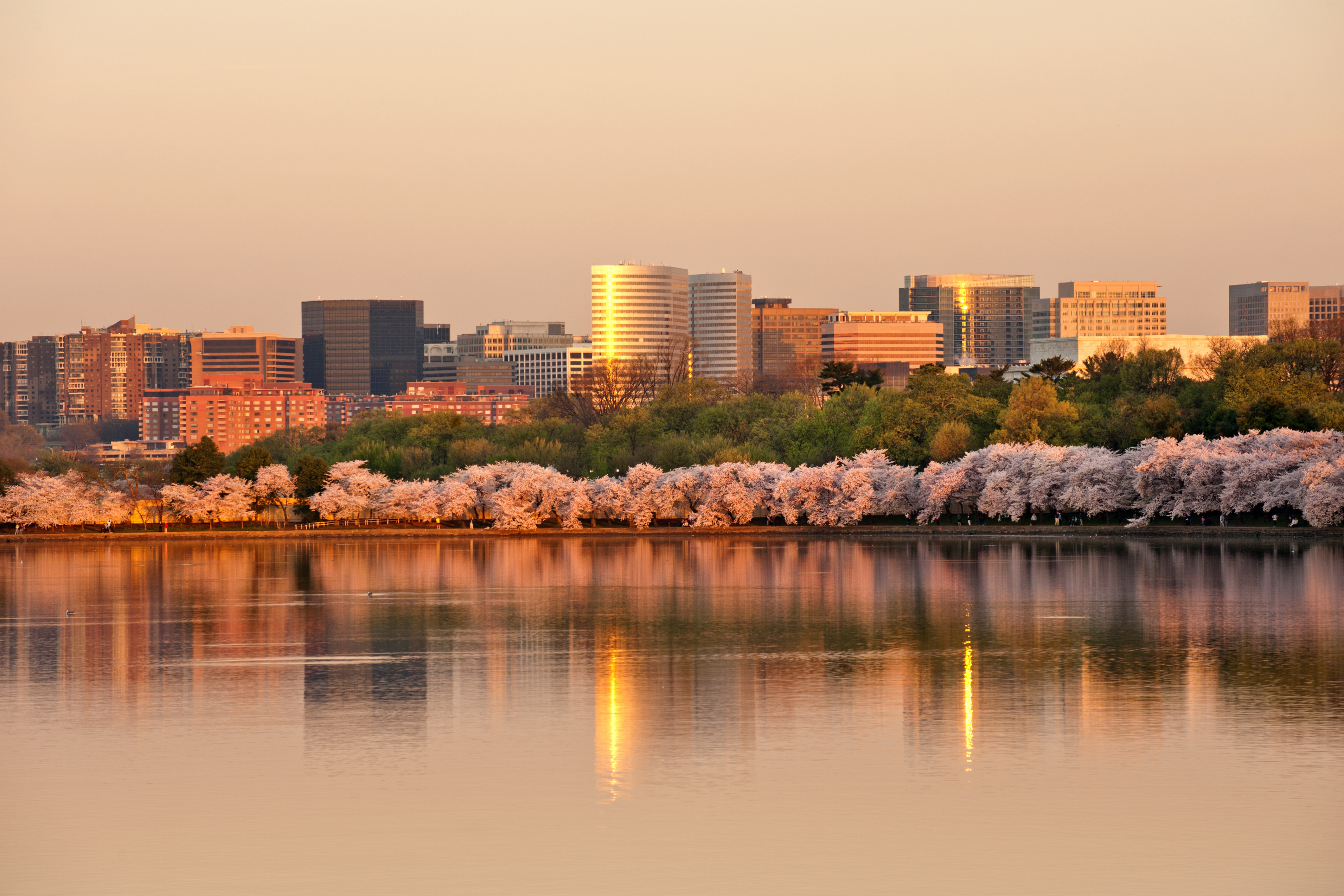 sunset image of Rosslyn, Virginia