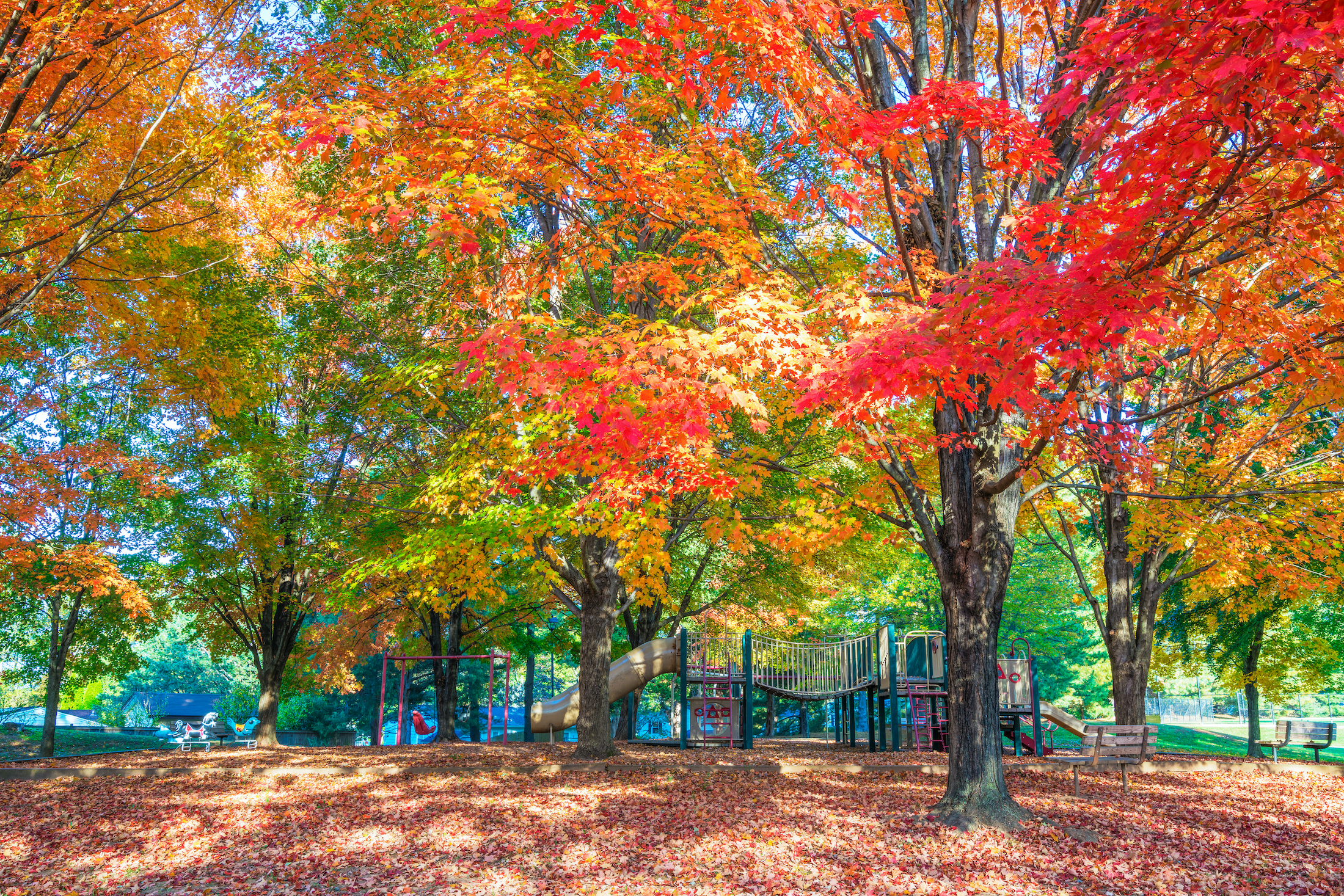 image of Vienna, Virginia park in the fall