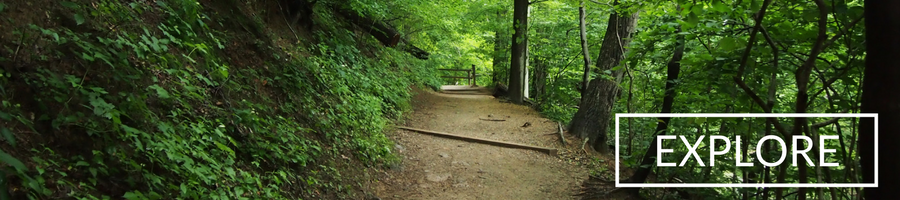 Kalorama homes for sale