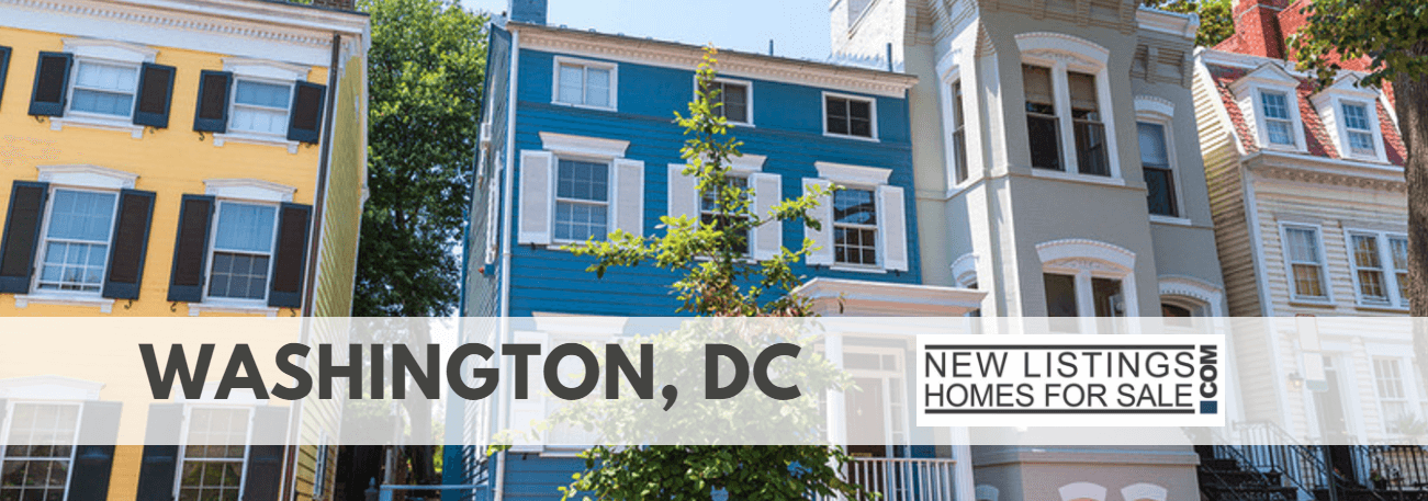 Washington DC banner